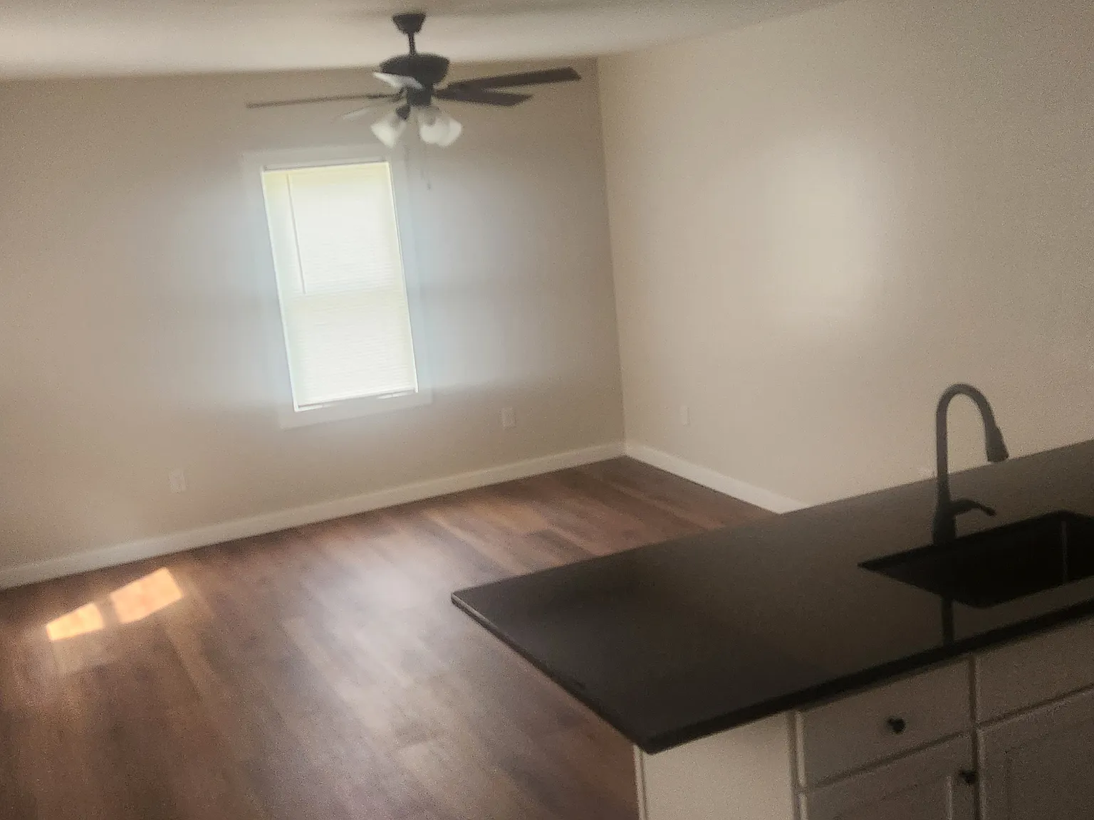 2 bed, $1,250 — Photo 3