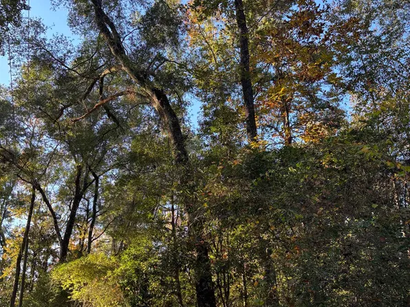 Xxx Bluebird Ln, Crawfordville, FL 32327