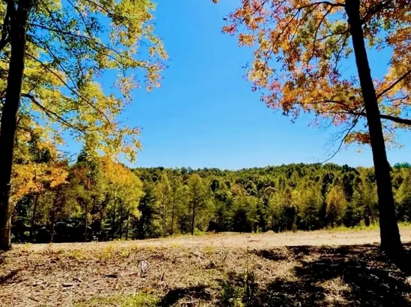 4 State Park Rd, Burkesville, KY 42717