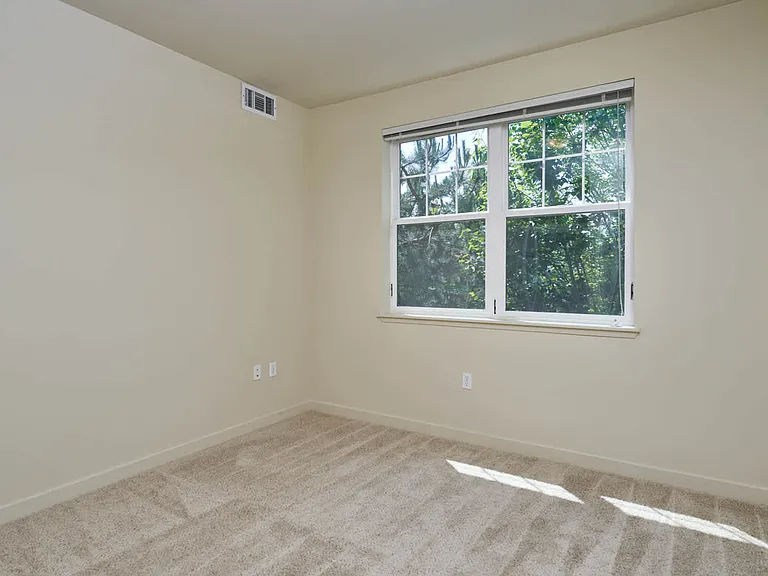 Carpeted Bedroom