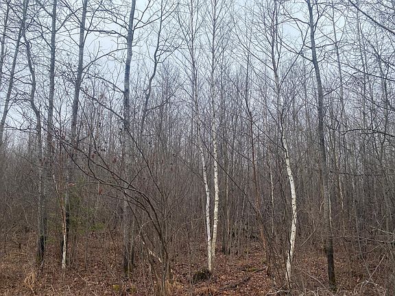 2nd image of On Shauger Rd