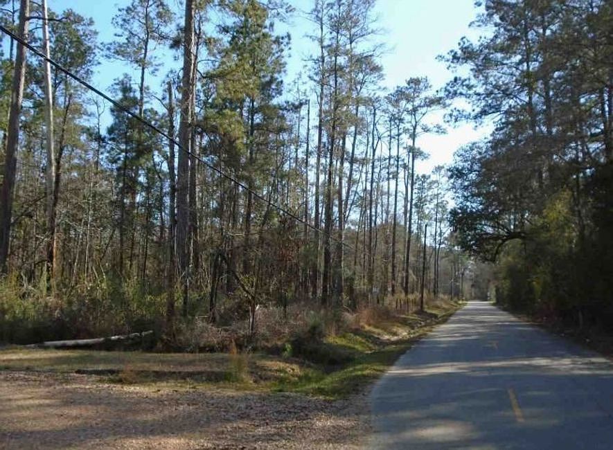 Exterior Neighborhood (street photo)