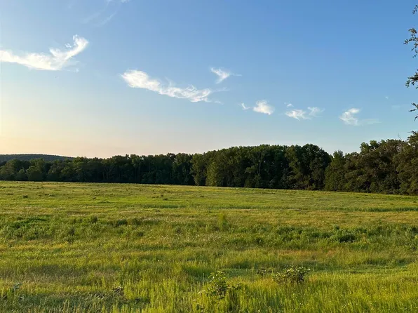 2516 Steel Rd, Bee Branch, AR 72013