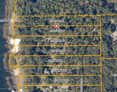 000 NE 133rd St, Fort McCoy, FL, 32134
