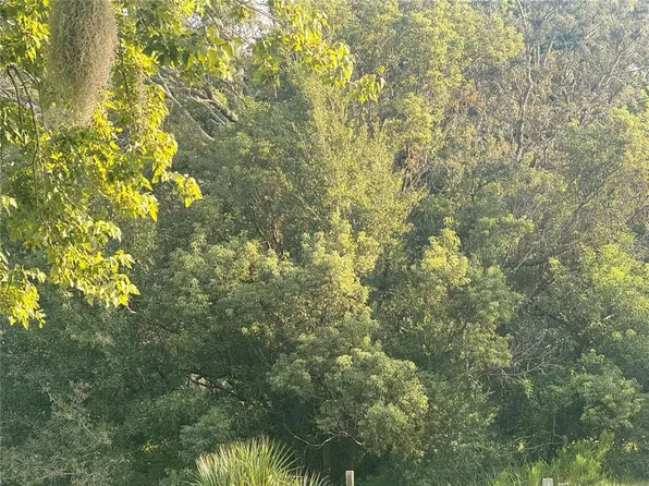 20 GLOXINIAS COURT LOT 10, HOMOSASSA, FL 34446