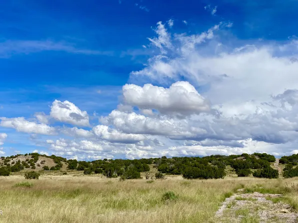 County Road N6112, Saint Johns, AZ 85936