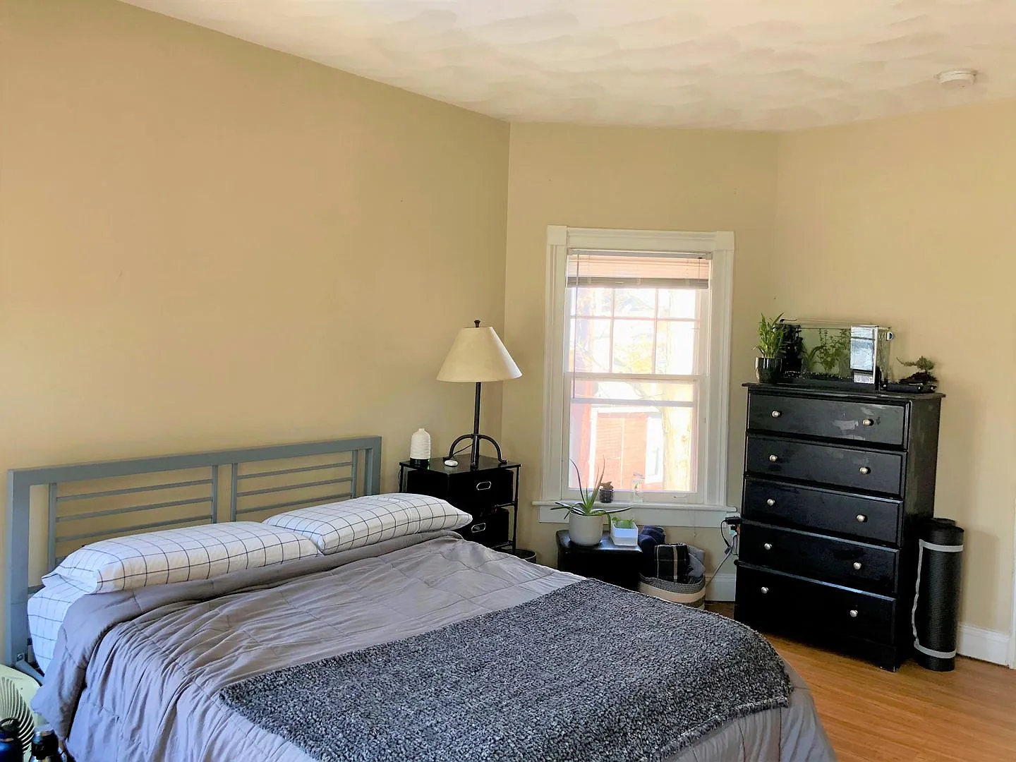 68 Walnut-available for 2025-2026 school year — Photo 3