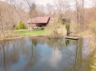 733 Carcass Brook Rd, Walton, NY 13856