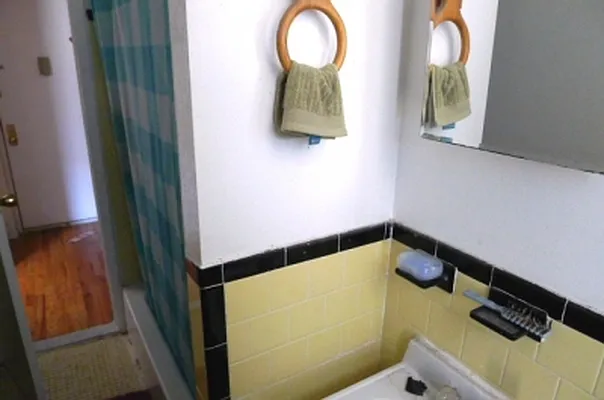 Rented by Citi Habitats | media 17