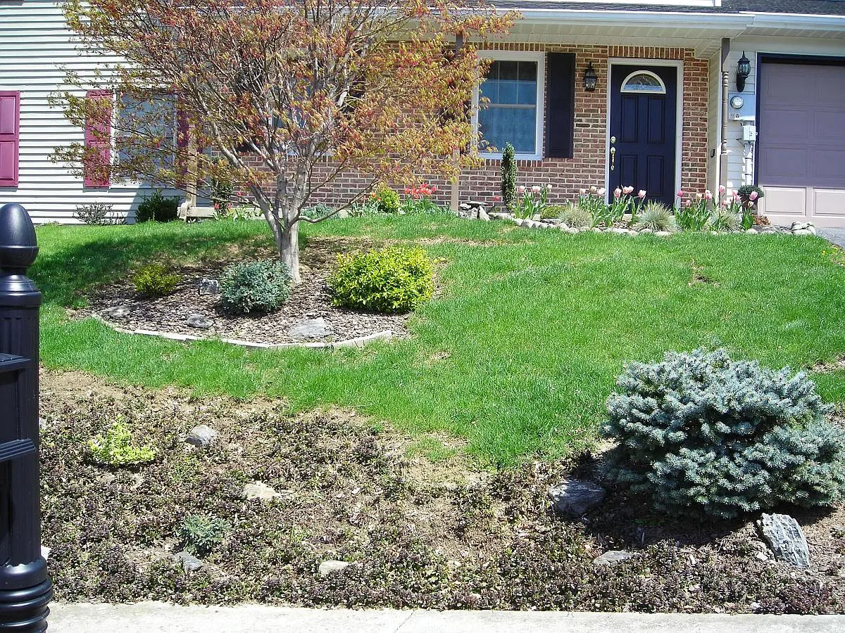 Front Yard - 18 Russet Ln