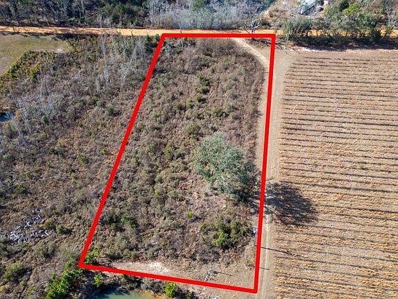 2nd image of 3 Penny Morris Rd