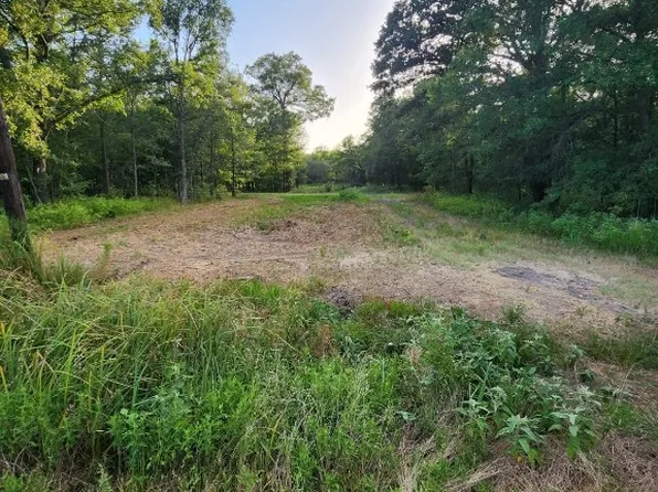 493 Road, Cayuga, TX 75832
