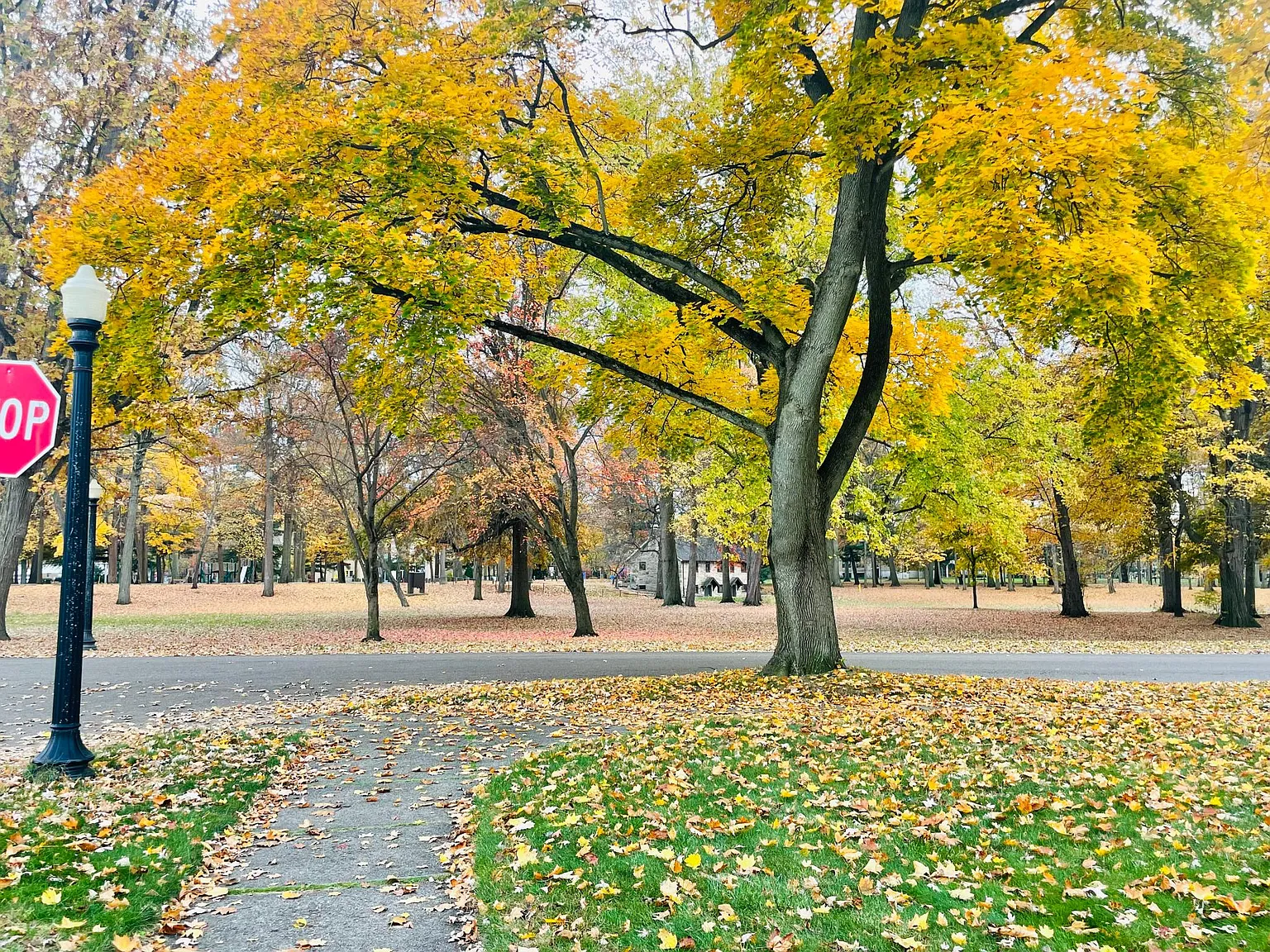 Westover Dr, Akron — Photo 4