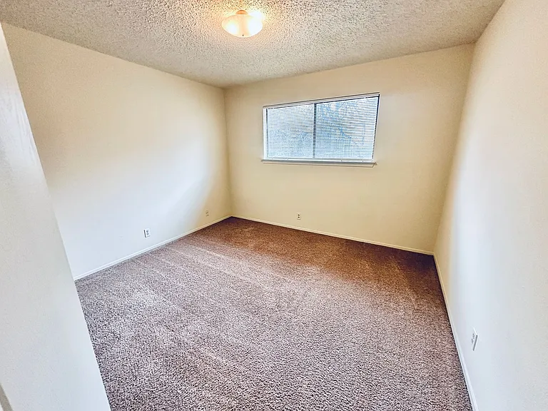 12504 Tree Line Dr — Photo 23