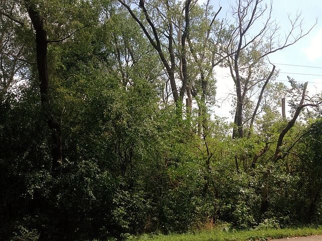 1st image of 26290 N Us Highway 12