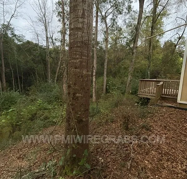 214 Brookside Ln — Photo 16