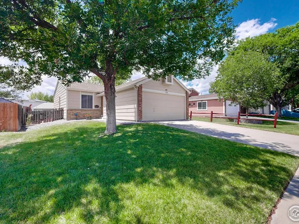 11337 Forest Dr, Thornton, CO 80233