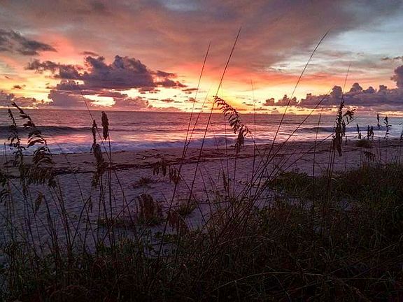 3rd image of 4180 N Highway A1a #1304