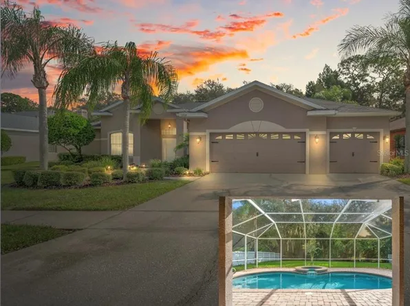 1204 Wyndham Lakes Dr, Odessa, FL 33556