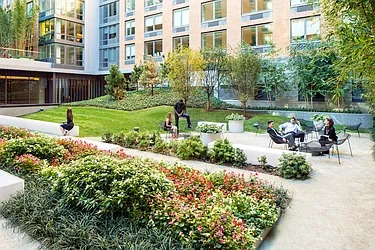 Rented by Gotham Organization