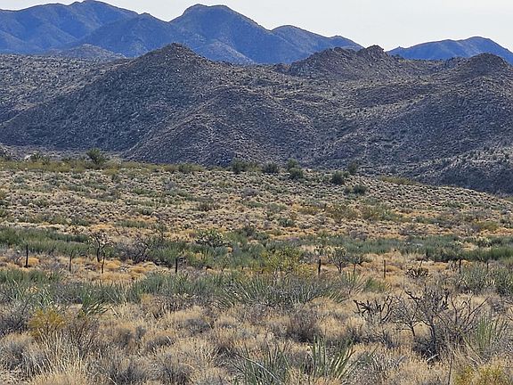 3rd image of xxxx N Knight Creek Road -- #23D