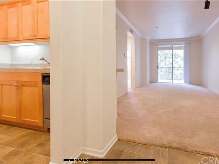 3313 Watermarke Pl — Photo 6