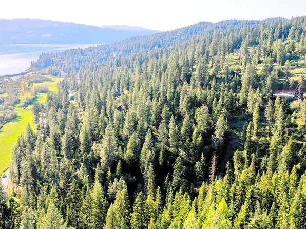 Nka Deer Rd, Harrison, ID 83833