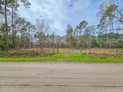 1718 Papaya St, Bunnell, FL, 32110