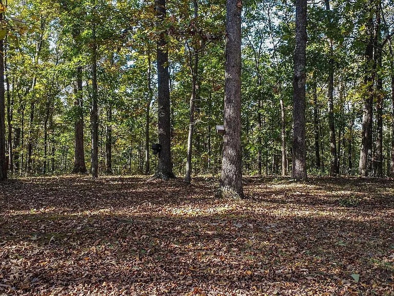 255 Paddle Wheel Rd — Photo 11
