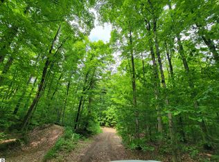 4 Stark Rd, Mancelona, MI 49659