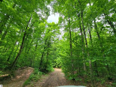 4 Stark Rd, Mancelona, MI, 49659