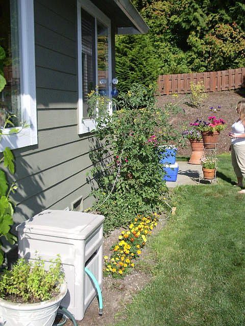 Vegetable garden