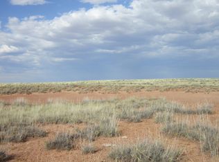 Spurlock Side Rd W, Holbrook, AZ 85936