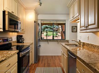 1004 Vine St #1004, Aspen, CO 81611