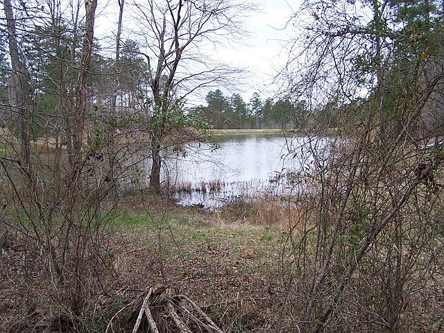 1st image of 310 Peter Carnes Dr
