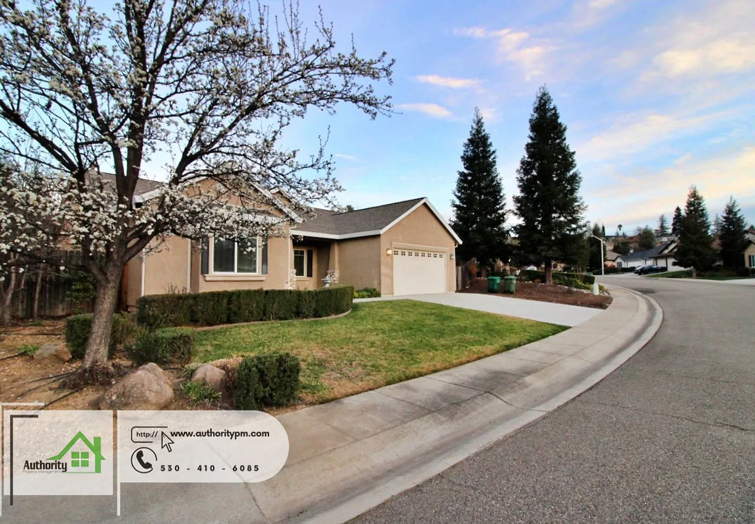 3 bed, 2.0 bath, 1820 sqft, $2,695 — Photo 3