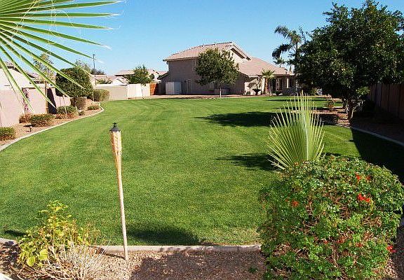Huge Backyard Grass Area