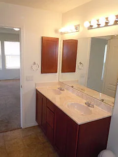 Primary Suite Bath