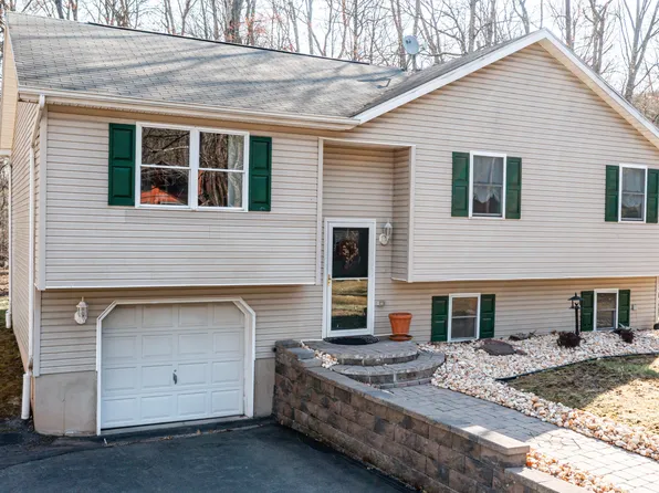 256 Trapper Springs Ln, Drums, PA 18222
