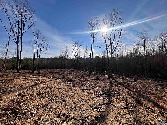 3rd image of 5.16 State Highway 117