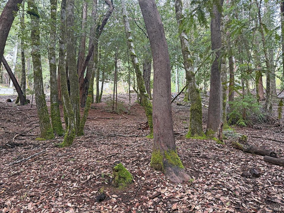 1st image of 27369 Bear Drive