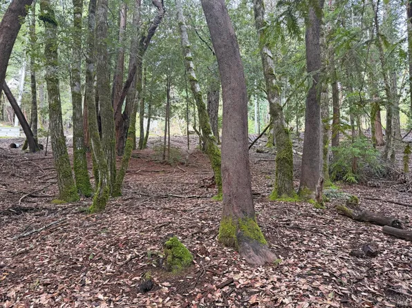 27369 Bear Drive, Willits, CA 95490