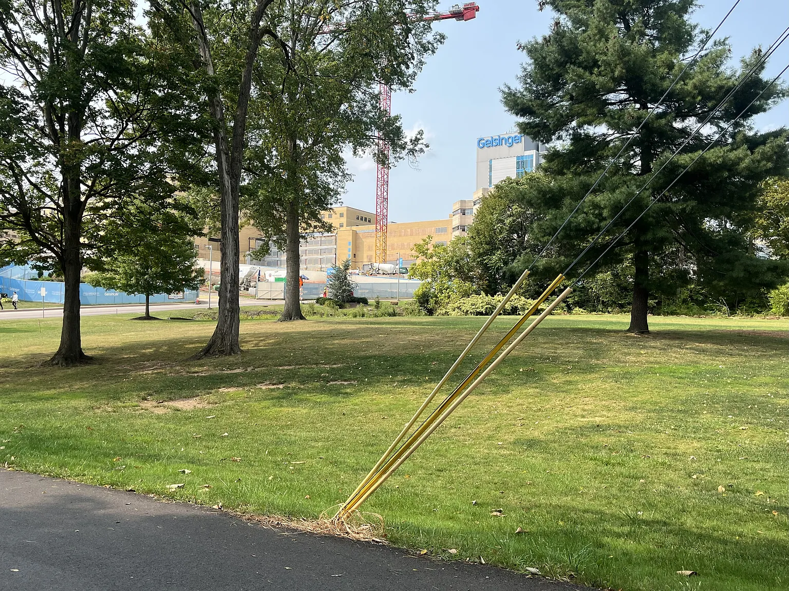 2 bed, 1176 sqft, $1,795 — Photo 3