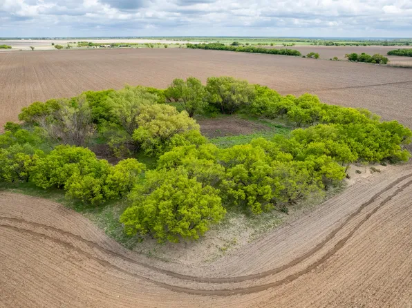 County Road 159, Coleman, TX 76834