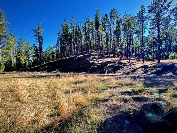 25325 Edyth Cir, Custer, SD 57730