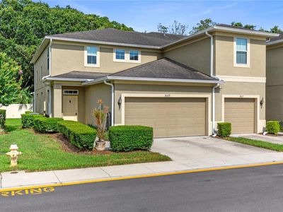 3029 Old Fulton Pl, Brandon, FL, 33510