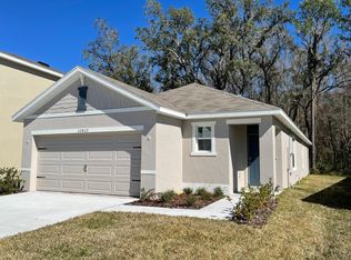 32823 Brooks Hawk Ln, Wesley Chapel, FL 33543