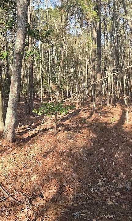 1st image of 0 Pepper Creek Rd