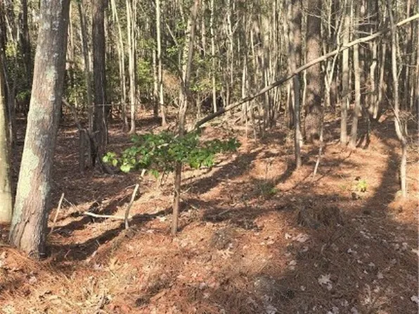 0 Pepper Creek Rd, Susan, VA 23163