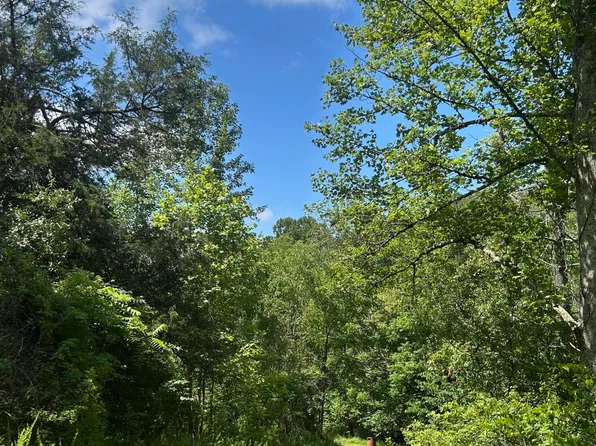 139 Dorsey Tolson Rd, Campton, KY 41301